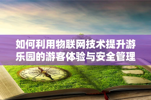 如何利用物联网技术提升游乐园的游客体验与安全管理？