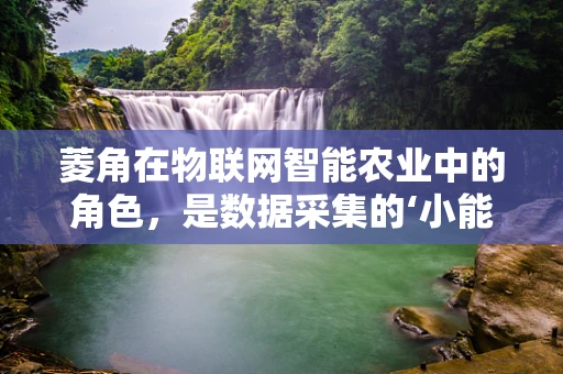 菱角在物联网智能农业中的角色，是数据采集的‘小能手’还是智能灌溉的‘指挥官’？