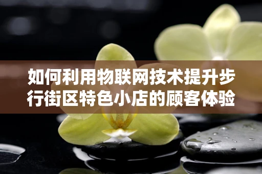 如何利用物联网技术提升步行街区特色小店的顾客体验？