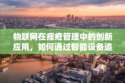 物联网在痤疮管理中的创新应用，如何通过智能设备追踪皮肤健康？