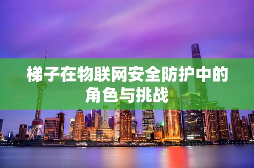梯子在物联网安全防护中的角色与挑战