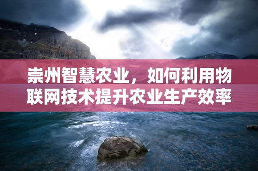 崇州智慧农业，如何利用物联网技术提升农业生产效率？