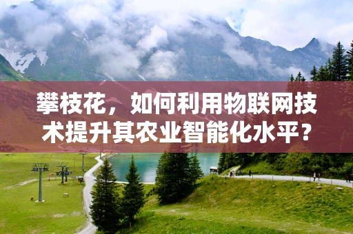 攀枝花，如何利用物联网技术提升其农业智能化水平？