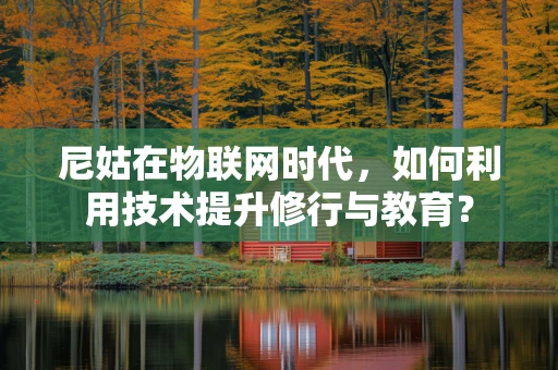 尼姑在物联网时代，如何利用技术提升修行与教育？