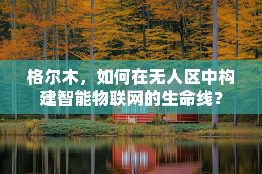 格尔木，如何在无人区中构建智能物联网的生命线？