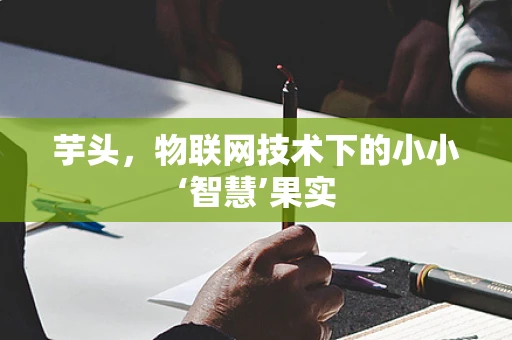芋头，物联网技术下的小小‘智慧’果实