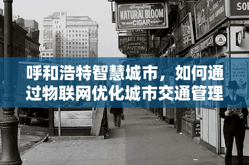 呼和浩特智慧城市，如何通过物联网优化城市交通管理？