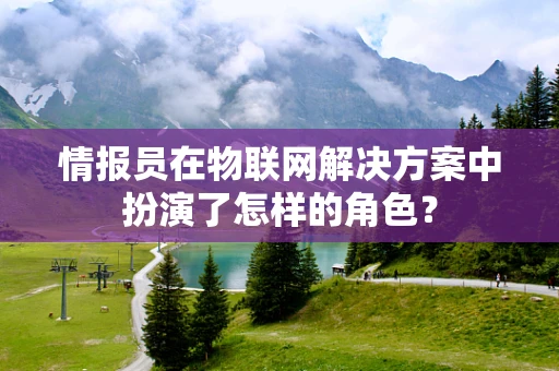 情报员在物联网解决方案中扮演了怎样的角色？