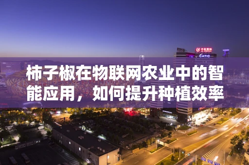 柿子椒在物联网农业中的智能应用，如何提升种植效率与品质？
