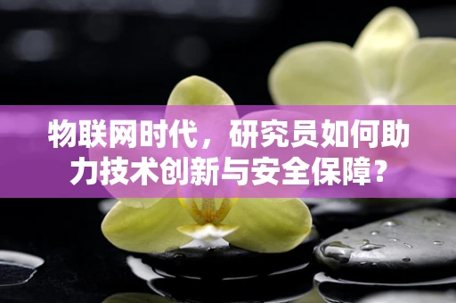 物联网时代，研究员如何助力技术创新与安全保障？