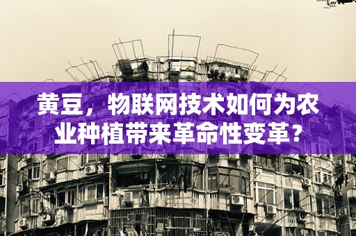 黄豆，物联网技术如何为农业种植带来革命性变革？
