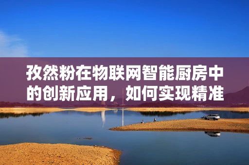 孜然粉在物联网智能厨房中的创新应用，如何实现精准计量与智能存储？