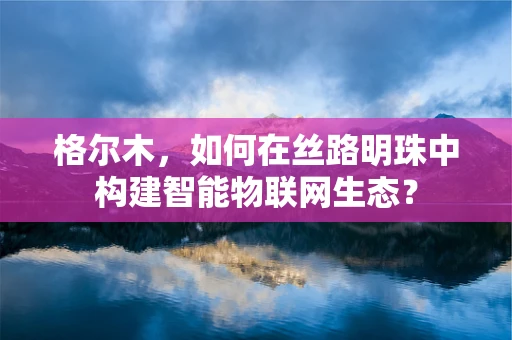 格尔木，如何在丝路明珠中构建智能物联网生态？