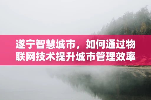 遂宁智慧城市，如何通过物联网技术提升城市管理效率？