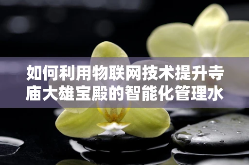 如何利用物联网技术提升寺庙大雄宝殿的智能化管理水平？