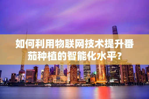 如何利用物联网技术提升番茄种植的智能化水平？