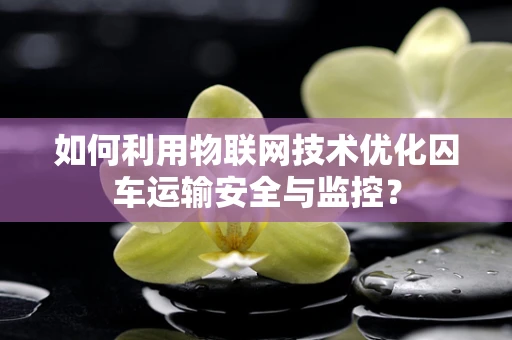 如何利用物联网技术优化囚车运输安全与监控？