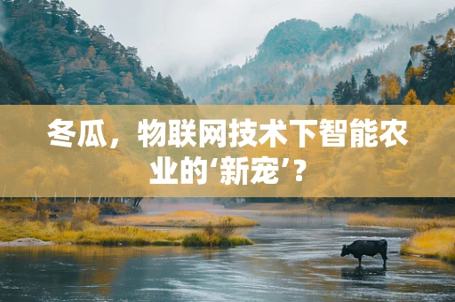 冬瓜，物联网技术下智能农业的‘新宠’？