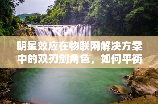 明星效应在物联网解决方案中的双刃剑角色，如何平衡隐私与关注度？