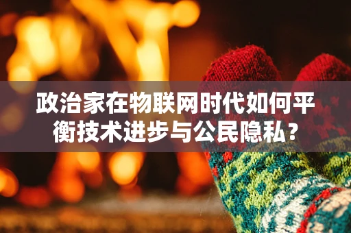 政治家在物联网时代如何平衡技术进步与公民隐私？