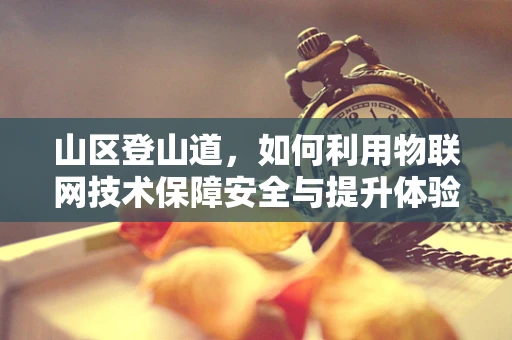 山区登山道，如何利用物联网技术保障安全与提升体验？