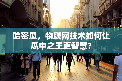 哈密瓜，物联网技术如何让瓜中之王更智慧？