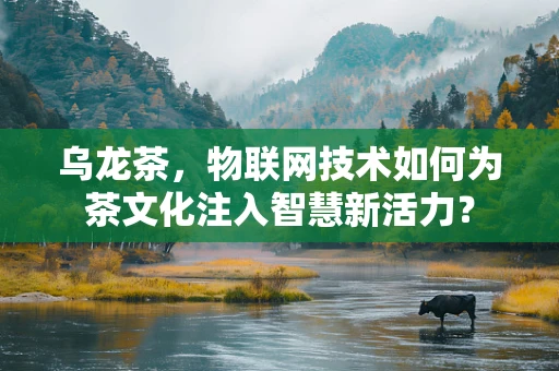 乌龙茶，物联网技术如何为茶文化注入智慧新活力？