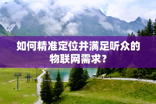 如何精准定位并满足听众的物联网需求？