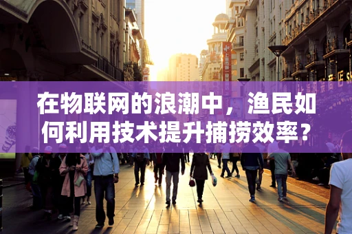 在物联网的浪潮中，渔民如何利用技术提升捕捞效率？