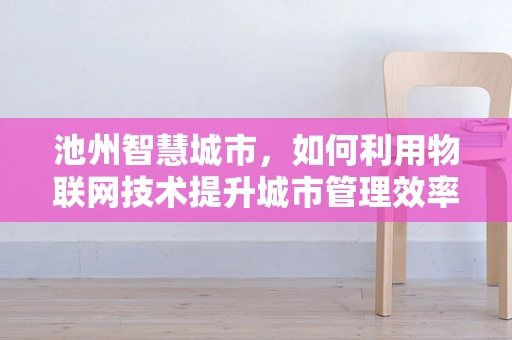 池州智慧城市，如何利用物联网技术提升城市管理效率？