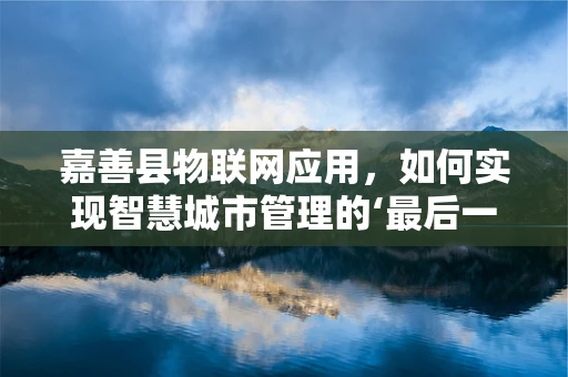 嘉善县物联网应用，如何实现智慧城市管理的‘最后一公里’？
