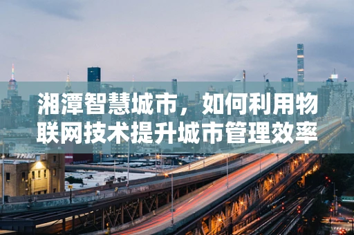 湘潭智慧城市，如何利用物联网技术提升城市管理效率？