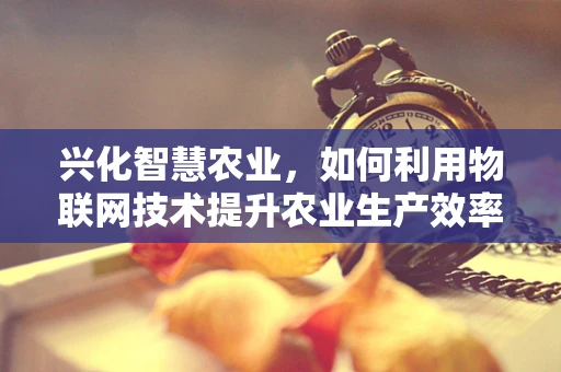 兴化智慧农业，如何利用物联网技术提升农业生产效率？