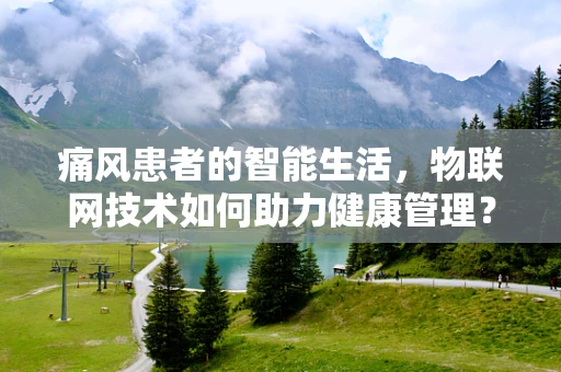 痛风患者的智能生活，物联网技术如何助力健康管理？