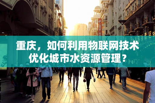 重庆，如何利用物联网技术优化城市水资源管理？