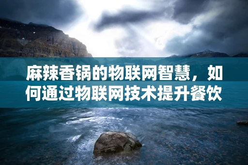 麻辣香锅的物联网智慧，如何通过物联网技术提升餐饮体验？
