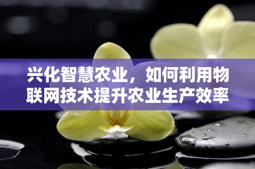 兴化智慧农业，如何利用物联网技术提升农业生产效率？