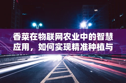 香菜在物联网农业中的智慧应用，如何实现精准种植与监控？