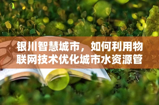 银川智慧城市，如何利用物联网技术优化城市水资源管理？