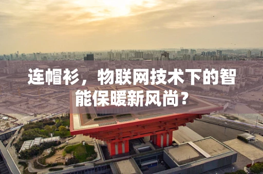连帽衫，物联网技术下的智能保暖新风尚？
