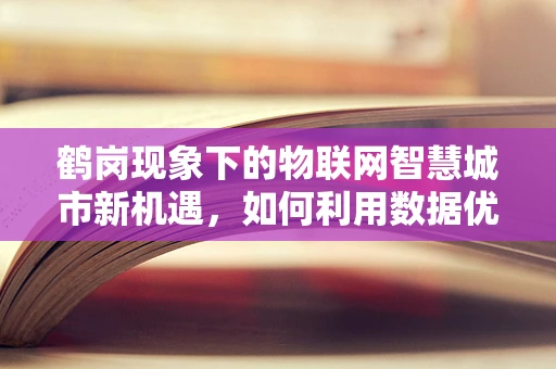 鹤岗现象下的物联网智慧城市新机遇，如何利用数据优化资源分配？