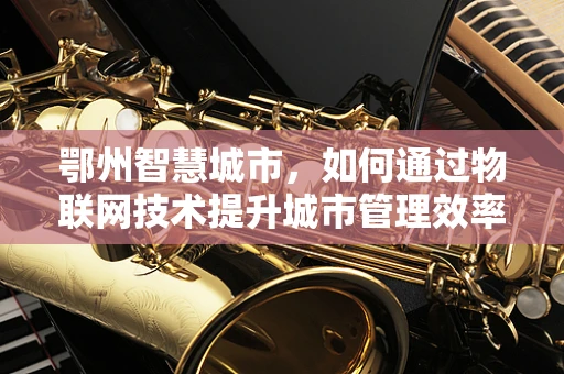 鄂州智慧城市，如何通过物联网技术提升城市管理效率？