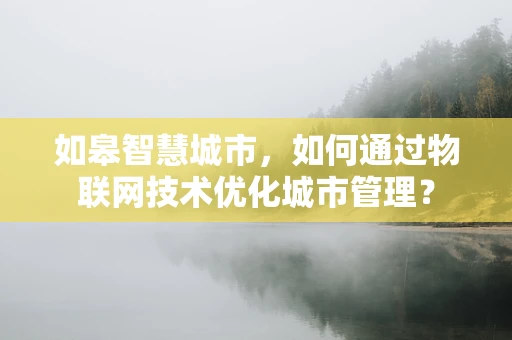 如皋智慧城市，如何通过物联网技术优化城市管理？