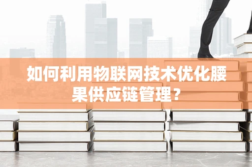 如何利用物联网技术优化腰果供应链管理？