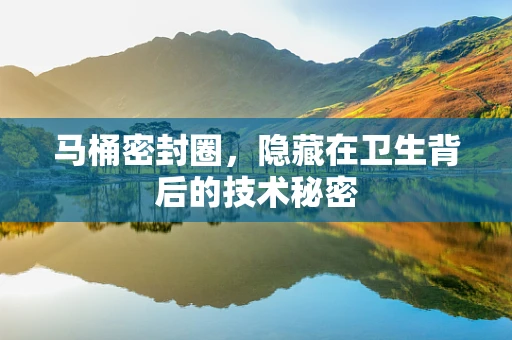 马桶密封圈，隐藏在卫生背后的技术秘密