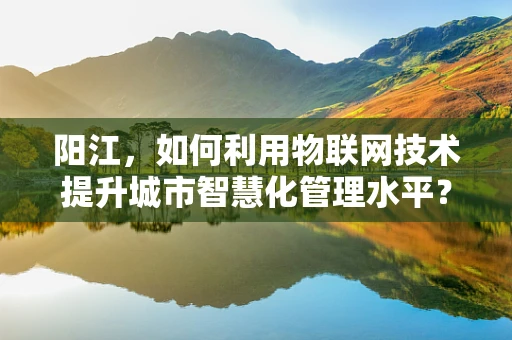阳江，如何利用物联网技术提升城市智慧化管理水平？