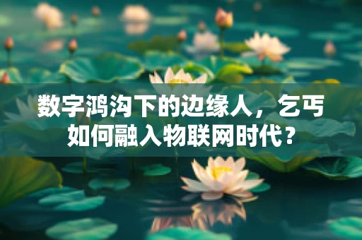 数字鸿沟下的边缘人，乞丐如何融入物联网时代？