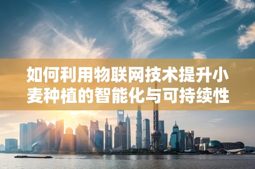 如何利用物联网技术提升小麦种植的智能化与可持续性？