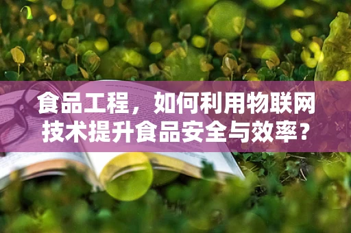 食品工程，如何利用物联网技术提升食品安全与效率？