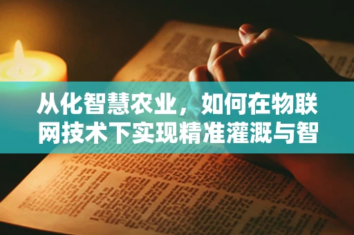 从化智慧农业，如何在物联网技术下实现精准灌溉与智能监控？